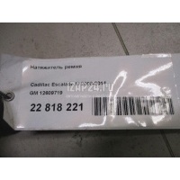 Натяжитель ремня GM H2 (2003 - 2009) 12609719