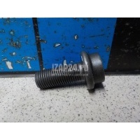 Болт распредвала VAG Q7 [4L] (2005 - 2015) N91050201