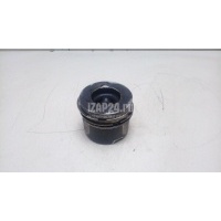 Поршень VAG Q7 [4L] (2005 - 2015) 059107065BJ