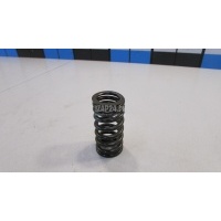Пружина клапана VAG Q7 [4L] (2005 - 2015) 06E109623L