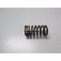 Пружина клапана VAG Q7 [4L] (2005 - 2015) 06E109623H