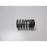 Пружина клапана VAG Q7 [4L] (2005 - 2015) 06E109623H
