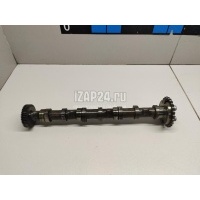Распредвал впускной VAG Q7 [4L] (2005 - 2015) 059109009DC