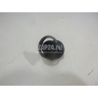 Крепеж (клоп) VAG Q7 [4L] (2005 - 2015) 7L6868243