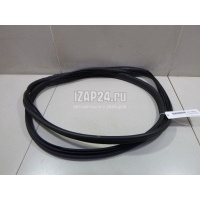 Уплотнитель двери Renault Scenic II (2003 - 2009) 8200077500