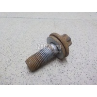 Болт цапфы Renault Scenic II (2003 - 2009) 7703002880