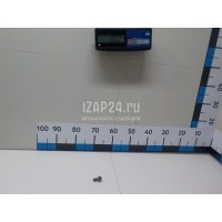 Болт цапфы Renault Scenic II (2003 - 2009) 7703002880