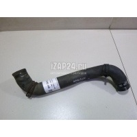 Патрубок радиатора Renault Scenic II (2003 - 2009) 8200233966