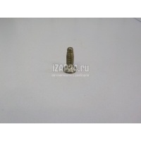 Болт Renault Scenic II (2003 - 2009) 7703004170