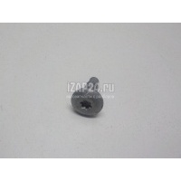 Болт Renault Scenic (1999 - 2003) 8200697105