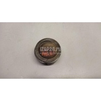 Поршень VAG Octavia (1997 - 2000) 050107065E