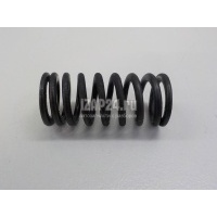 Пружина клапана VAG Passat [B6] (2005 - 2010) 06F109623