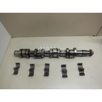 Распредвал выпускной VAG Passat [B6] (2005 - 2010) 03G109102F