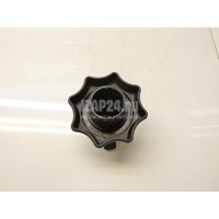 Болт крепления запасного колеса VAG Passat [B6] (2005 - 2010) 3C0803899