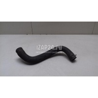 Патрубок радиатора GM Corsa D (2006 - 2015) 13344211