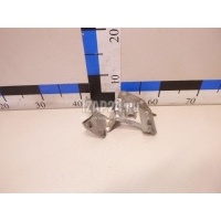 Кронштейн бачка гидроусилителя VAG Touareg (2002 - 2010) 7L0422491C