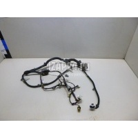 Проводка (коса) Nissan Primera P12E (2002 - 2007) 24125AV002