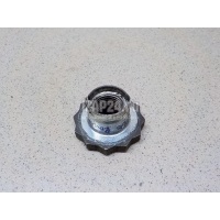 Гайка передней ступицы VAG Fabia (1999 - 2007) 6Q0407396B