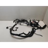 Проводка (коса) Nissan Micra (K12E) (2002 - 2010) 24011BC001