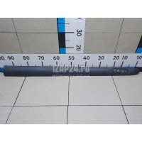 Молдинг передней правой двери Renault Clio II/Symbol (1998 - 2008) 7700410279