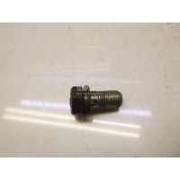 Болт полый Volvo TRUCK FL6 (1985 - 1998) 968177