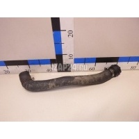 Патрубок радиатора Ford Fiesta (2001 - 2008) 1528662