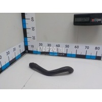 Патрубок радиатора Ford Fiesta (2001 - 2008) 1528662