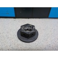 Гайка Ford Fiesta (2001 - 2008) 1949319