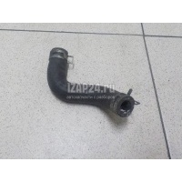 Патрубок Toyota RAV 4 (2006 - 2013) 162610R020