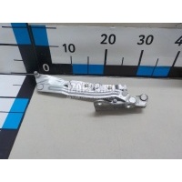 Петля крышки багажника Volvo S40 (2004 - 2012) 30716249