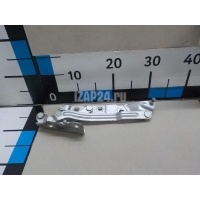 Петля крышки багажника Volvo S40 (2004 - 2012) 30716248