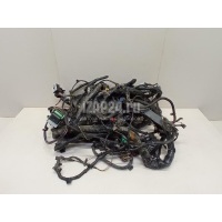 Проводка (коса) Ford Galaxy (2006 - 2015) 1810698
