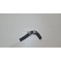 Шланг системы охлаждения Toyota GS 300/400/430 (2005 - 2011) 1628131021