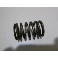 Пружина клапана GM Aveo (T200) (2003 - 2008) 96353128