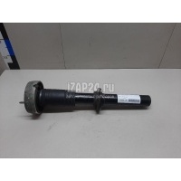 Амортизатор передний BMW X5 E70 (2007 - 2013) 31316781920