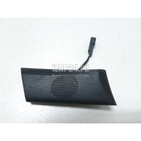Динамик GM Captiva (C100) (2006 - 2010) 96628308