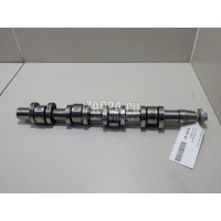 Распредвал выпускной VAG A4 [B7] (2005 - 2007) 03G109102C