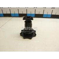 Болт крепления запасного колеса VAG A4 [B7] (2005 - 2007) 8E0803899C