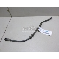Шланг тормозной VAG Rapid (2013 - ) 6R0611701F