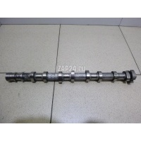 Распредвал выпускной Hyundai-Kia Ceed (2007 - 2012) 241002A200