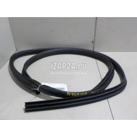 Уплотнитель (внутри) Ford Focus II (2008 - 2011) 1534918