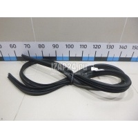 Уплотнитель (внутри) Ford Focus II (2008 - 2011) 1534918