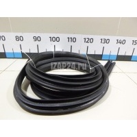 Уплотнитель (внутри) Ford Focus II (2008 - 2011) 1534918