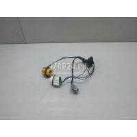 Патрон лампы Ford Focus II (2008 - 2011) 1567128