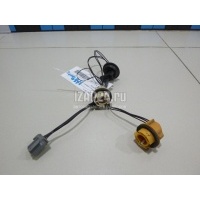 Патрон лампы Ford Focus II (2008 - 2011) 1567128