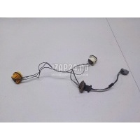 Патрон лампы Ford Focus II (2008 - 2011) 1567128