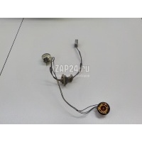Патрон лампы Ford Focus II (2008 - 2011) 1567128
