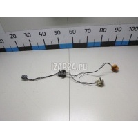 Патрон лампы Ford Focus II (2008 - 2011) 1567128