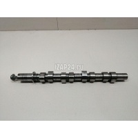 Распредвал Renault Clio III (2005 - 2012) 8200664675