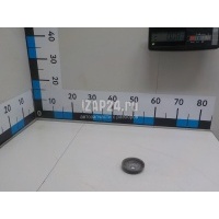 Шайба Land Rover Range Rover III (LM) (2002 - 2012) RPK000010
